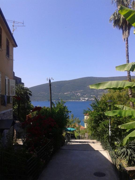 Apartment Old Town Herceg Novi Eksteriør billede